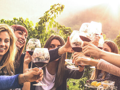 Cofanetto Cena nei vigneti del Chianti con partenza da Siena