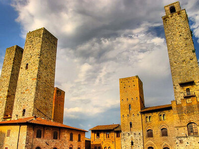 Tour nel Chianti, a San Gimignano e a Montalcino