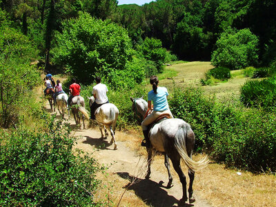 Cofanetto Passeggiata a cavallo con partenza da Siena