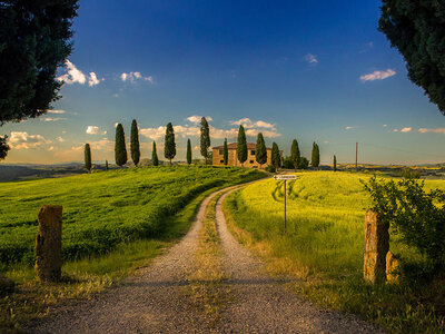 Passeggiata a cavallo con partenza da Siena