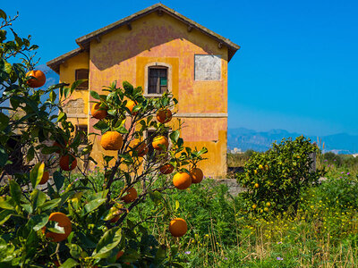 Cofanetto Romantica pausa in agriturismo in compagnia degli animali