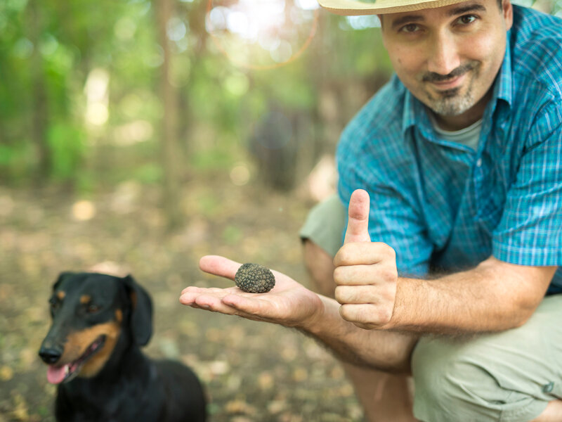 Caccia con cani da tartufo e menù per 2