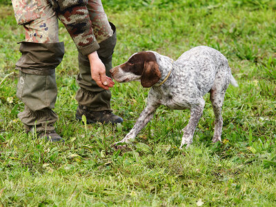 Cofanetto Caccia con cani da tartufo e menù per 2