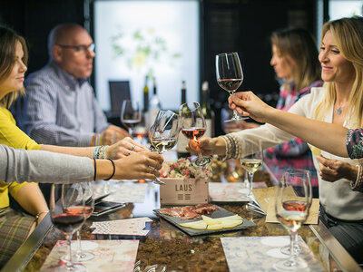 Visita a Bodega Laus y cata de vino con aperitivo de jamón ibérico y queso manchego