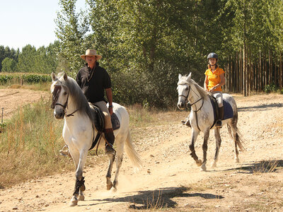 Ruta a caballo de 30 min o más de duración