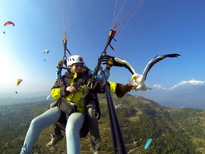 Volo in parapendio in tandem per 2