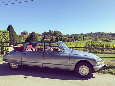 Coffret Visite de Bordeaux et des vignobles bordelais en DS présidentielle avec chauffeur privé (3h)
