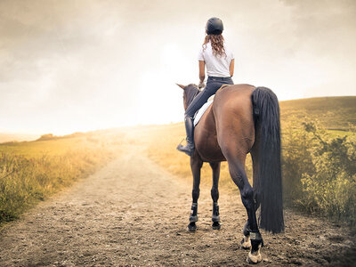 Caja Ruta a caballo para 1 persona