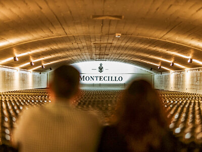 Caja Cata de 4 vinos en Bodegas Osborne - Montecillo