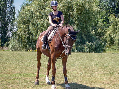 Leçon d'équitation ou agréable balade à cheval