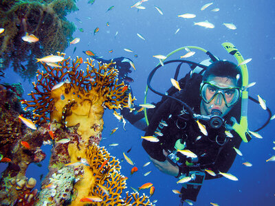 Acción en el agua