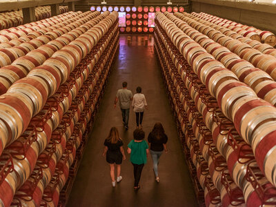 Caja regalo Visita en familia a Bodegas Osborne - Montecillo: cata y taller de creatividad