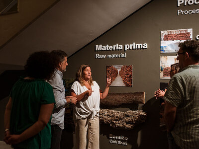 Visita en familia a Bodegas Osborne - Montecillo: cata y taller de creatividad