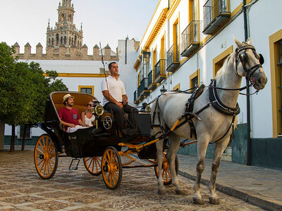 Paseo en coche de caballos en Sevilla para dos