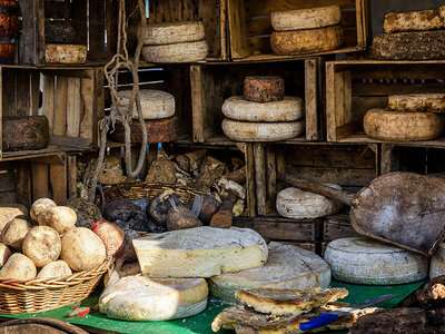 Cofanetto A Torino con gusto: un tour gastronomico di 3 ore e 30 minuti