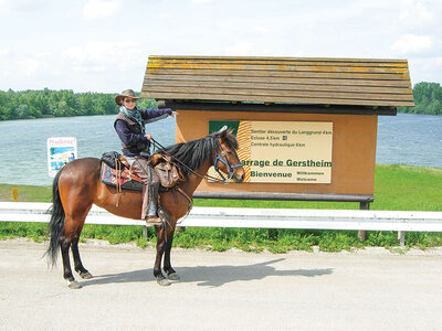 Journée de balade, randonnée à cheval ou cours d'équitation