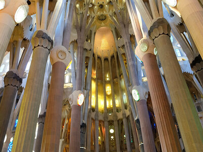 Caja Visita guiada a la Sagrada Familia para 2