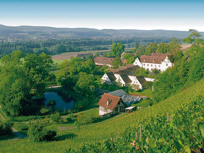 1 Übernachtung mit Entspannung, Kultur und Eintritt in Ittinger Museen