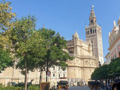 Caja regalo Visita guiada a la Catedral y Alcázar de Sevilla con acceso prioritario