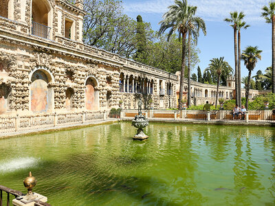 Caja Visita guiada a la Catedral y Alcázar de Sevilla con acceso prioritario