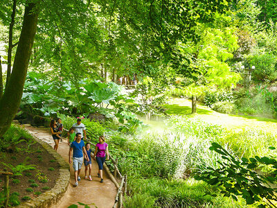 Billets Puy du Fou 2025 - 1 jour pour 2 adultes et 2 enfants