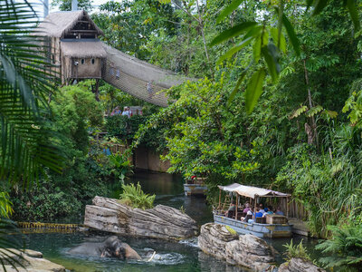 Coffret cadeau Abonnement d'1 an au WILDLANDS Adventure Zoo Emmen