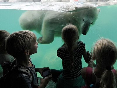 Journée au WILDLANDS Adventure Zoo Emmen pour 1 personne