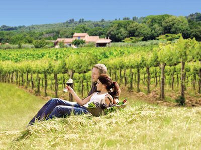 Coffret cadeau Sur la route des vins