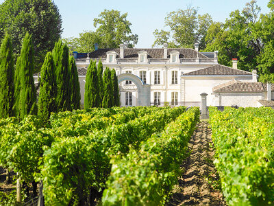 Coffret Sur la route des vins