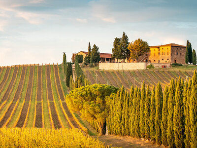 Cofanetto regalo 4 giorni nel verde alla scoperta dell'Italia rurale