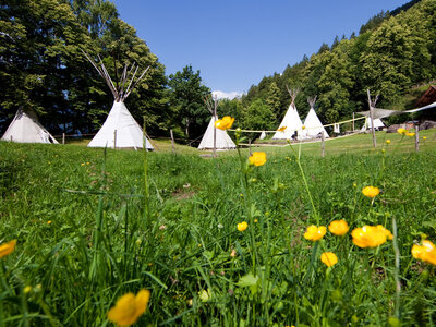 Cofanetto regalo 2 incantevoli notti con colazione in una tipica tenda Tipi per 3 persone