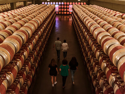 Caja Visita para 2 adultos y 1 niño a Bodegas Osborne - Montecillo: cata y taller de creatividad