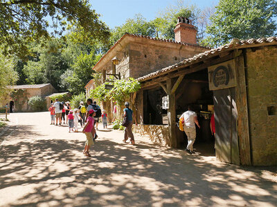 Billets Puy du Fou 2025 - 2 jours pour 2 adultes et 2 enfants