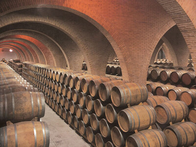 Caja Visita a Bodegas Irache con cata de vino en Navarra