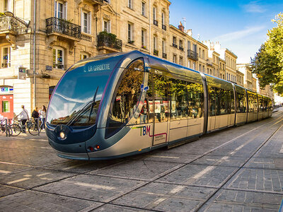 Visite guidée de 3h de Bordeaux avec dégustation de spécialités locales pour 2 personnes