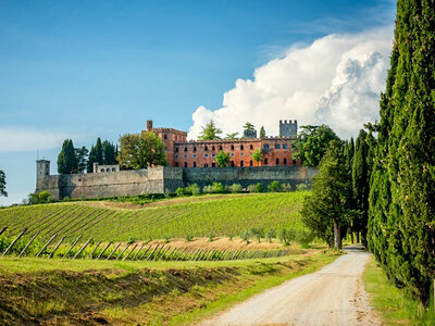 Cofanetto Tour in vespa elettrica al Castello in Chianti Fiorentino con degustazione vini per 2