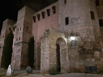 Código Barcino: 1 visita guiada por Barcelona