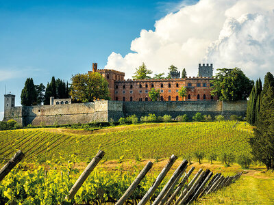 Cofanetto regalo Visita al Castello di Oliveto nel Chianti con degustazione di 7 vini