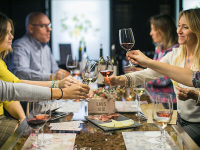 Caja 1 visita a la bodega LAUS y cata de 3 vinos para 2 personas