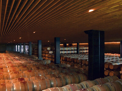 1 visita a la bodega LAUS y cata de 3 vinos para 2 personas