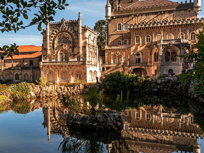 Caja 1 noche de viernes a domingo con desayuno en Bussaco Palace Hotel*****