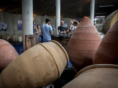 Bodega Cerrón: visita a bodega, viñedos y cata con 4 vinos con maridaje de quesos