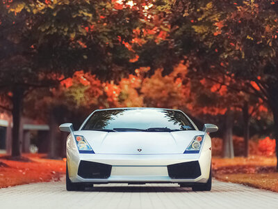 Doos Cruisen in een Lamborghini Gallardo op de weg