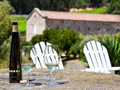 Visita guiada a bodega de Pazo Baión con maridaje de 3 Albariños