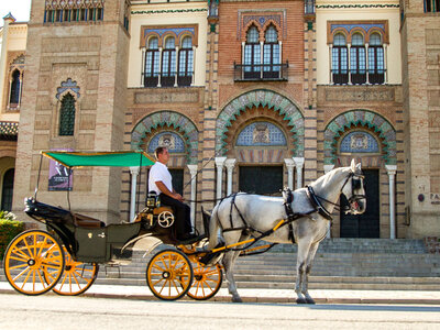 Romance en Sevilla: 1 noche con paseo en coche de caballos para 2 personas