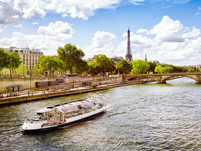 Croisière d'1h sur la Seine et visite guidée de la tour Eiffel d'1h30 à Paris en duo