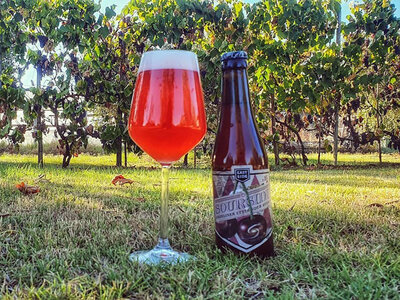 Degustazione a tutta birra! Le birre artigianali di Eastside Brewing direttamente a casa tua