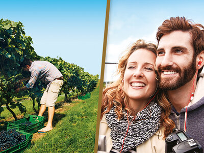 Coffret cadeau Séjour œnologique et sortie culturelle