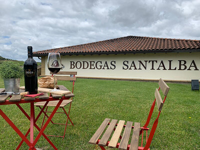 Bodegas Santalba: visita a bodega, viñedo y cata de 3 vinos con 2 productos típicos