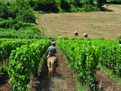 Passeggiata a cavallo nei Monti Lepini con degustazione in cantina vinicola per 2